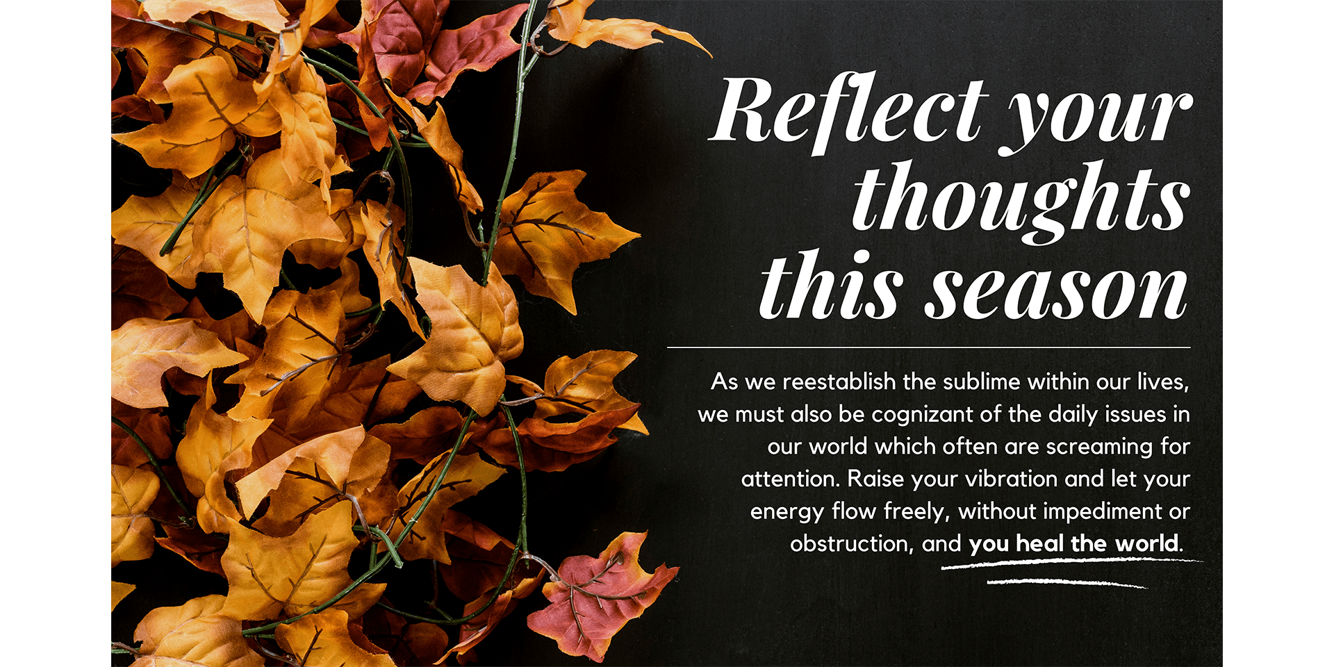 Reflects your thoughts this season